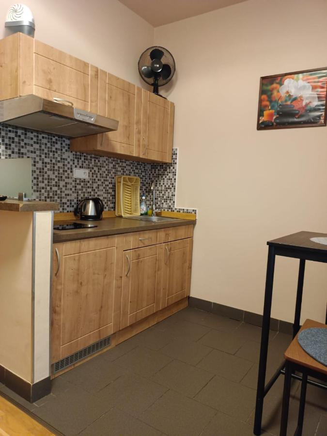 Msprivat Hotel Karlovy Vary Luaran gambar