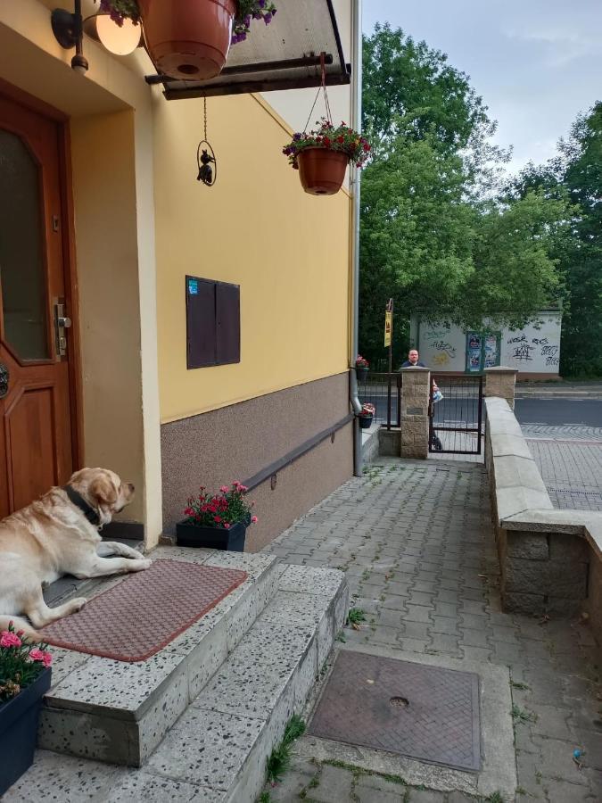 Msprivat Hotel Karlovy Vary Luaran gambar